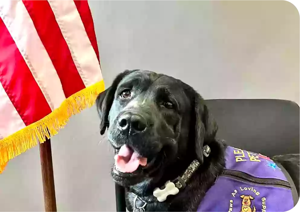Paws As Loving Support Assistance Dogs
