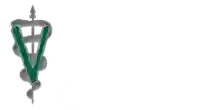 Fairfax Veterinary Clinic