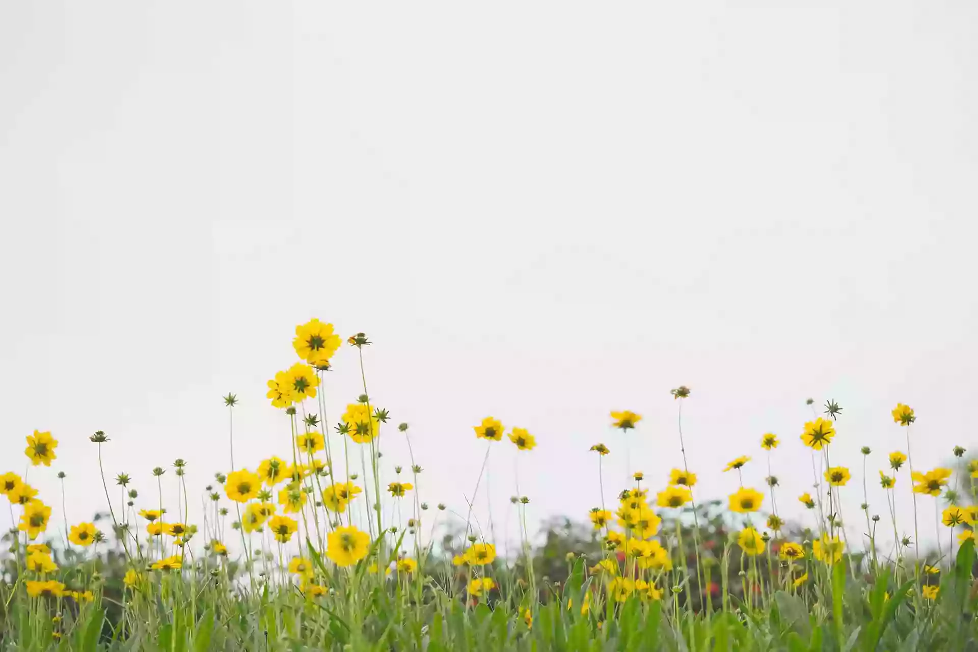 Inland Empire Counseling Center