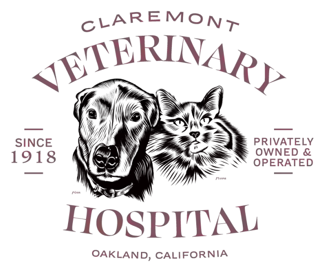 Claremont Veterinary Hospital