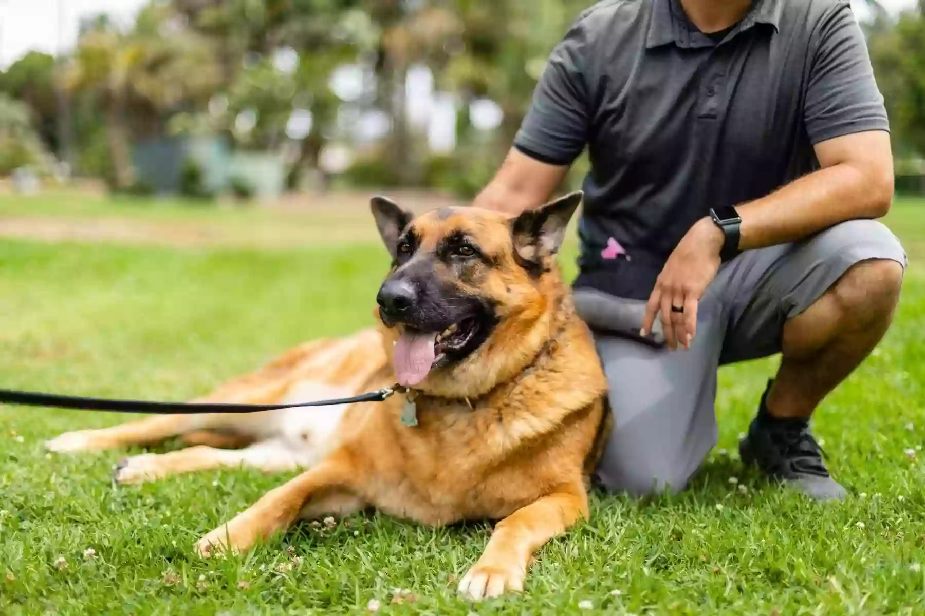 Elite Pup Training