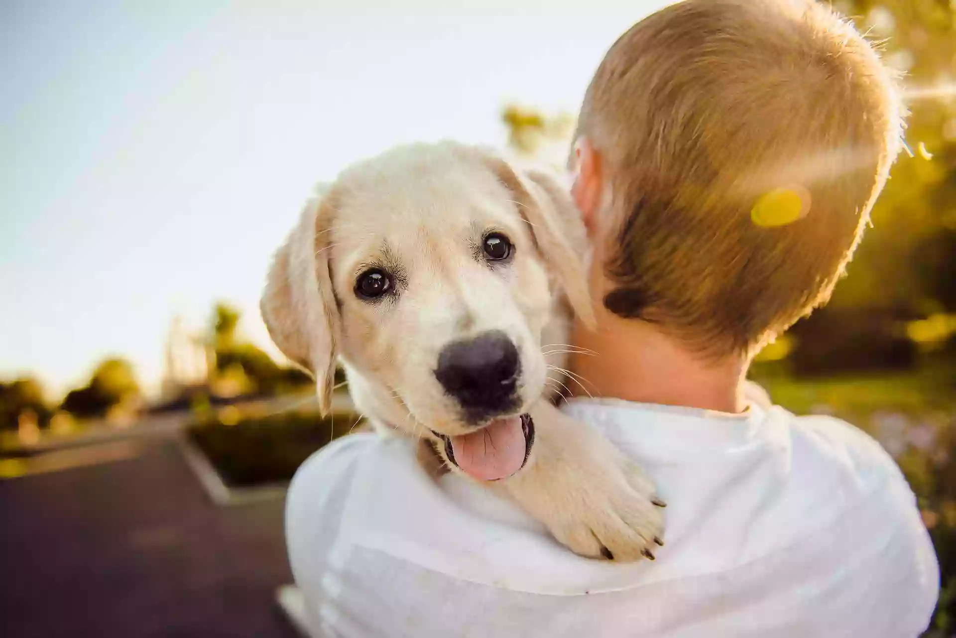 Huntington Beach Pet Hospital