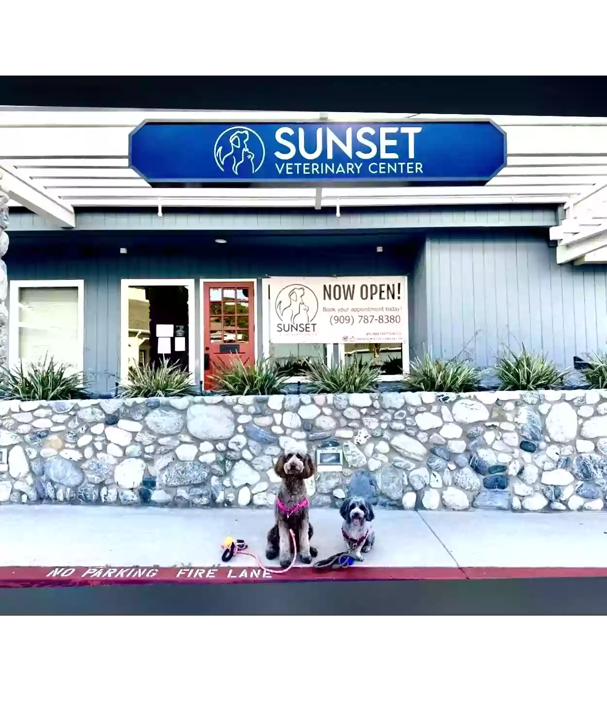 Sunset Veterinary Center