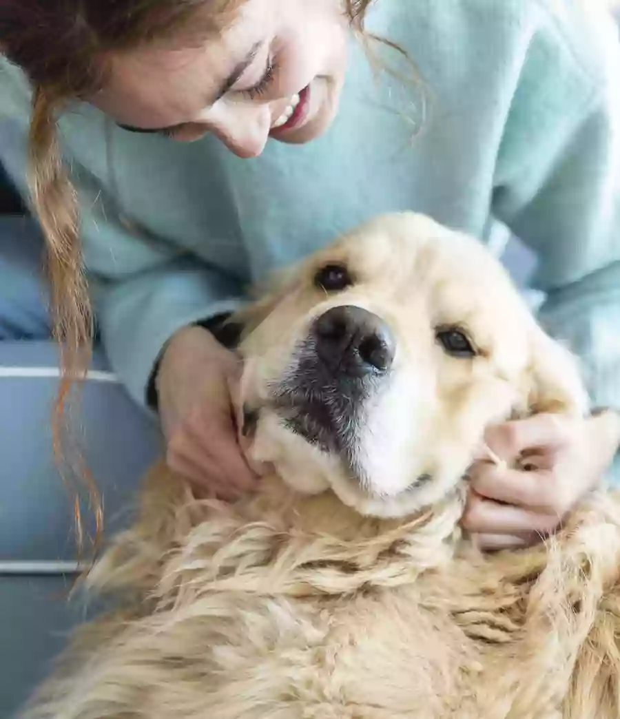 Freckles and Friends Pet Clinic