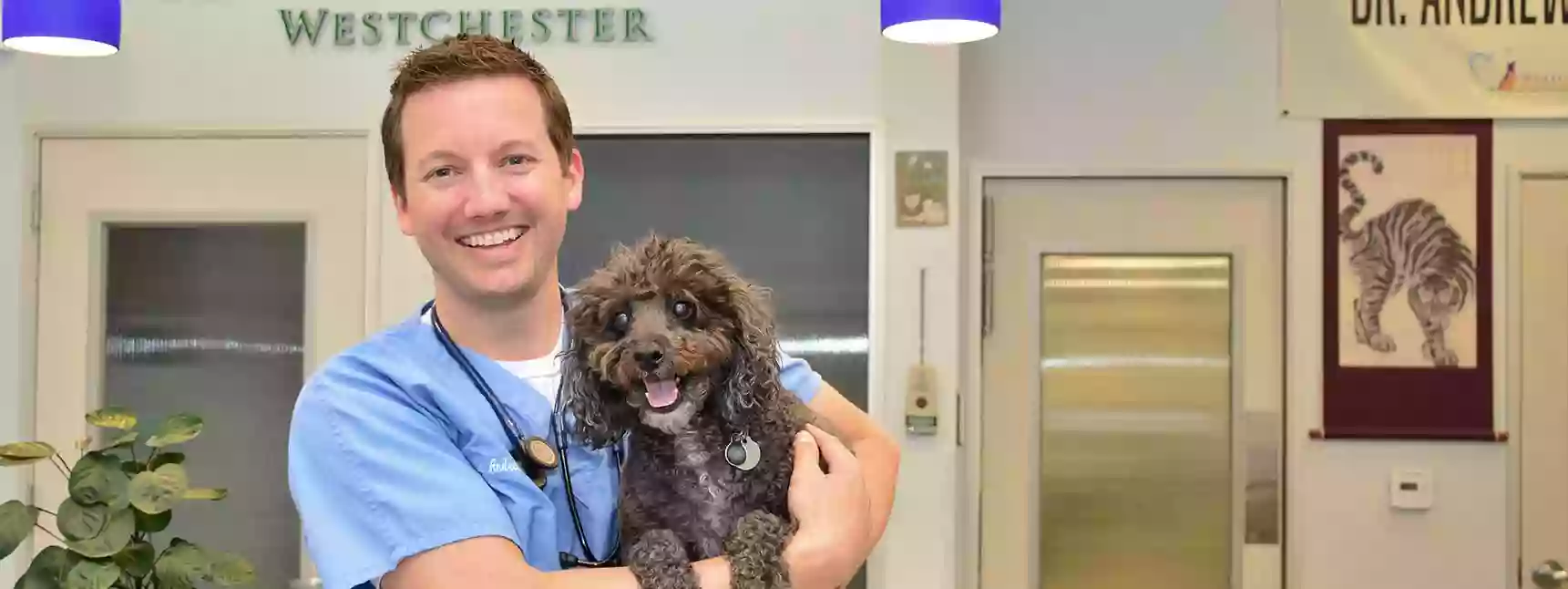 Westchester Veterinary Center and Cat Clinic