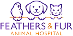 Feathers and Fur Animal Hospital