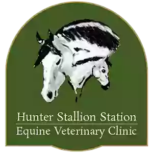 Hunter Stallion Sta Equine Vet