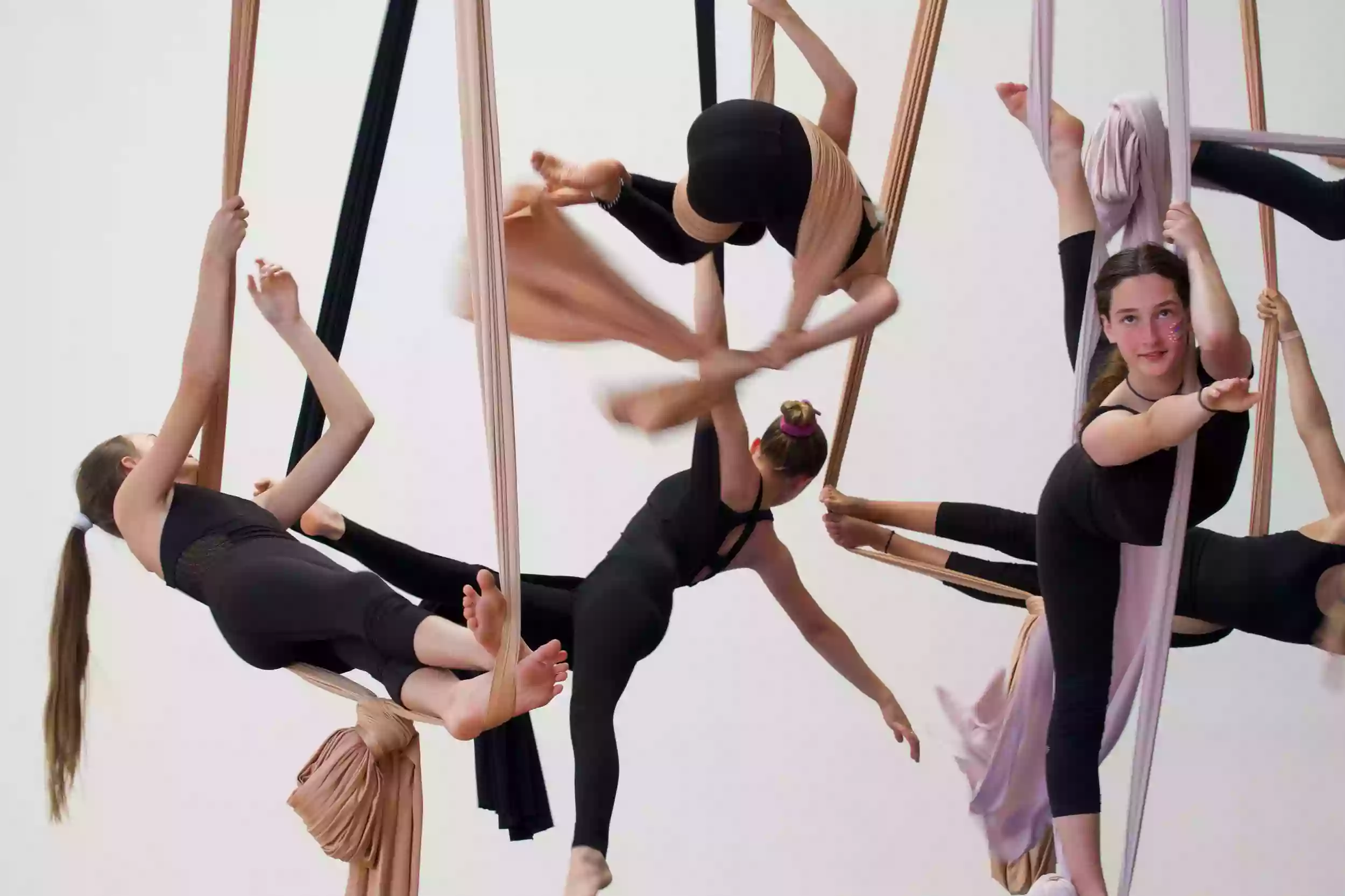 Tea Dancers - Aerial Dance Academy