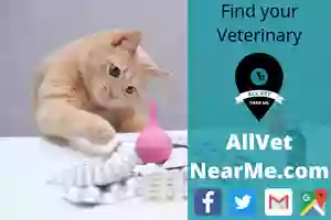 Vet Hospital Davis Ca