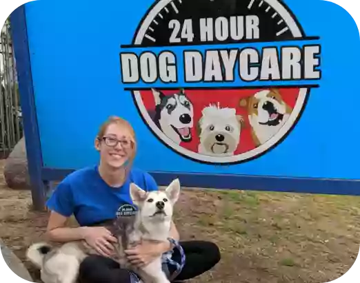 24 Hour Dog Daycare