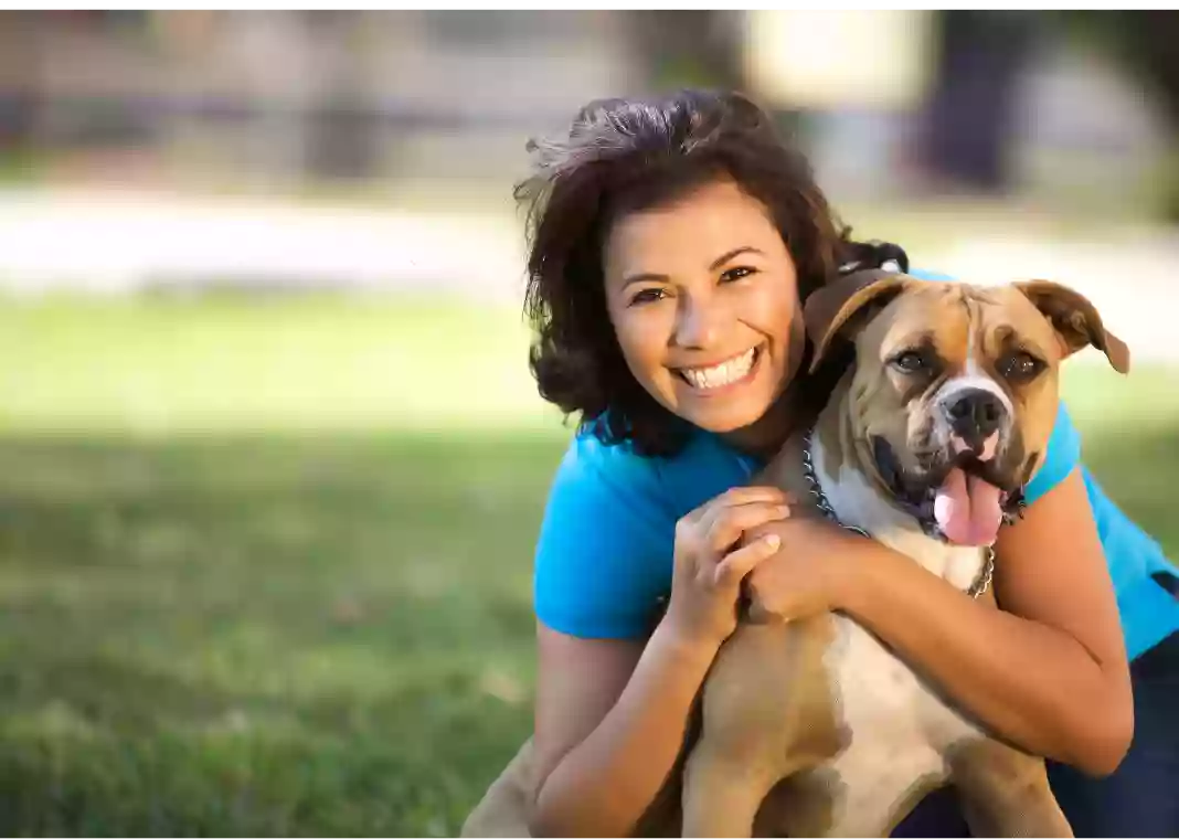 Fetch Pet Care West Los Angeles