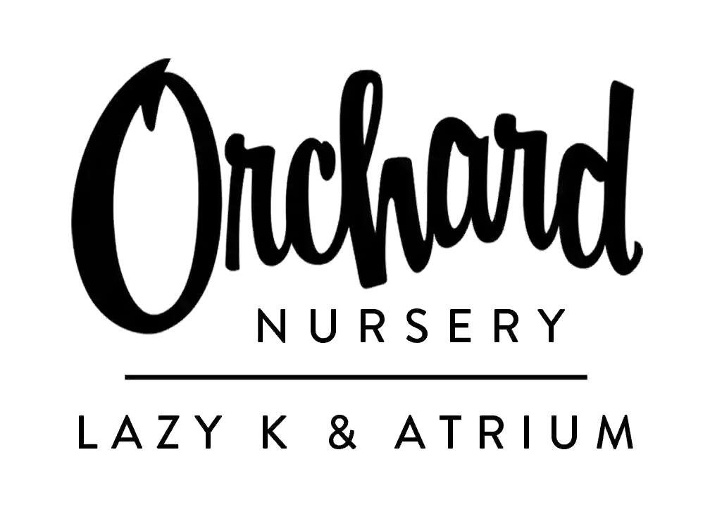 Orchard Nursery