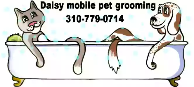 Daisy Mobile Pet Grooming