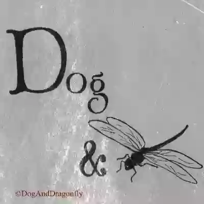 Dog And Dragonfly Studio