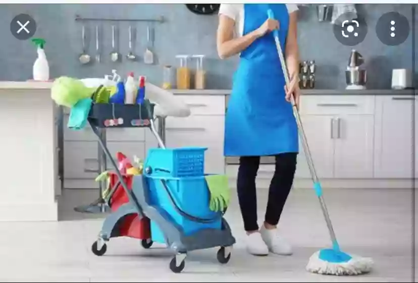 Alba’s professional cleaning services