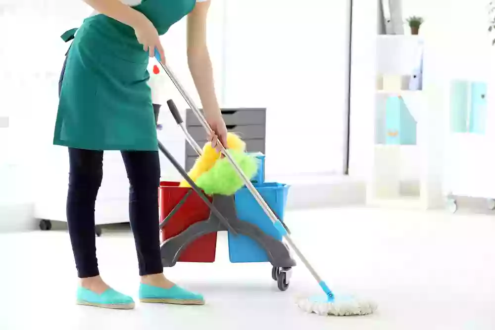 Spring Breeze Cleaning Services