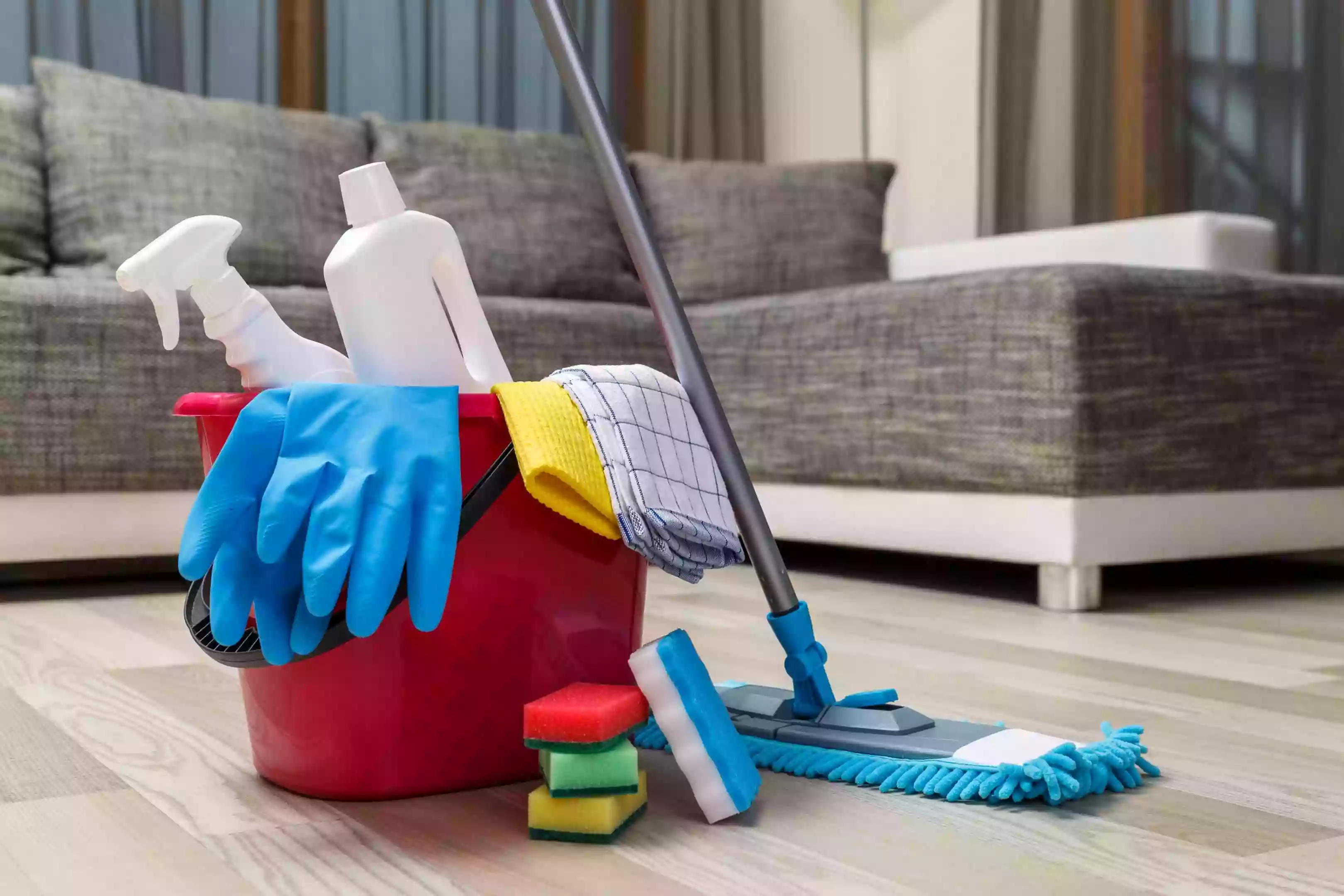 Mily House Cleaning LLC