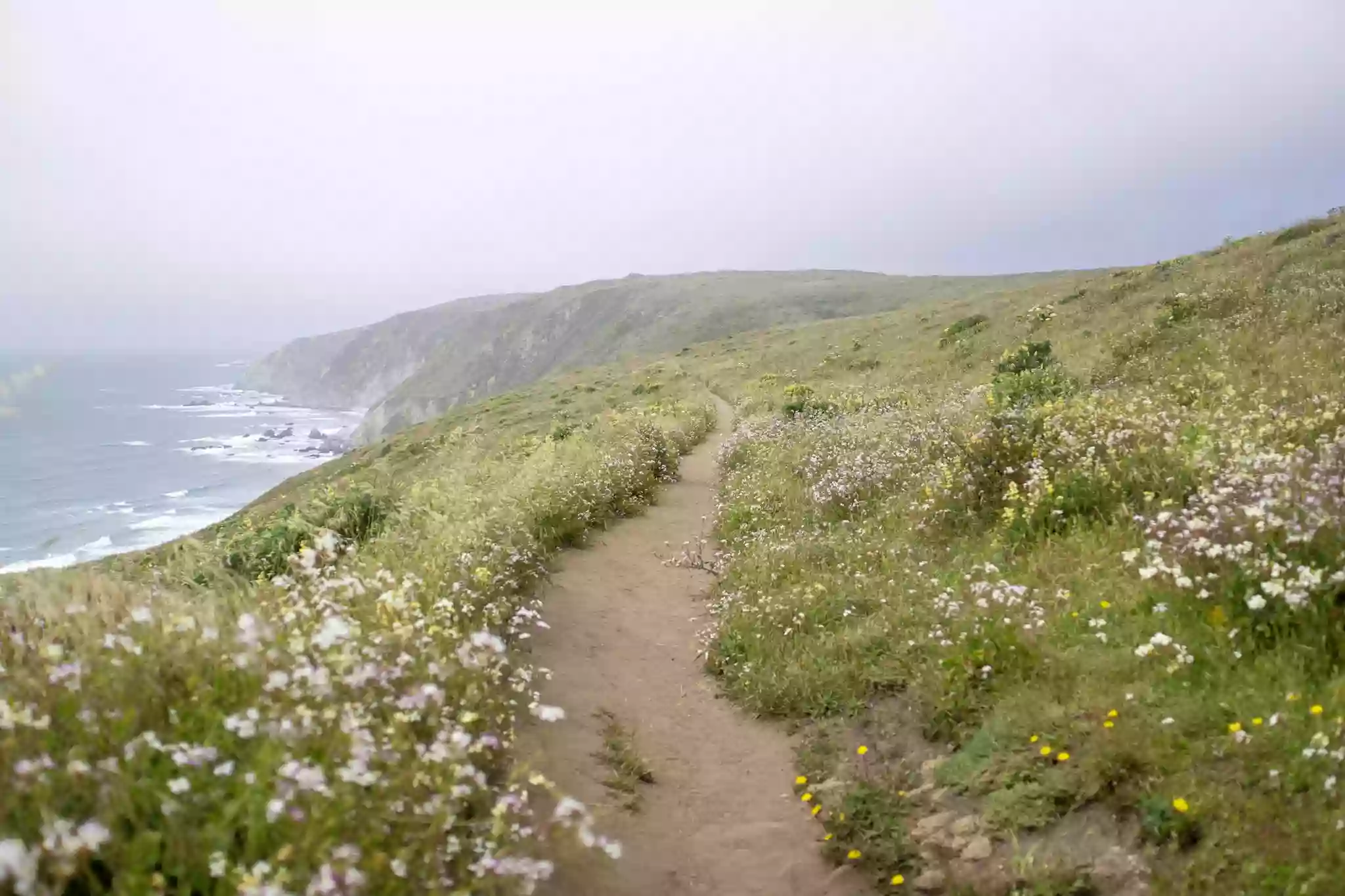 McClures Beach Trailhead