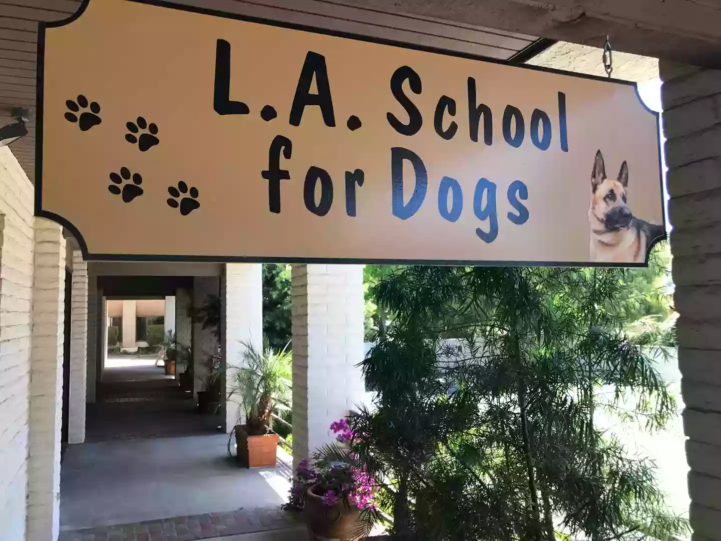 L A School For Dogs