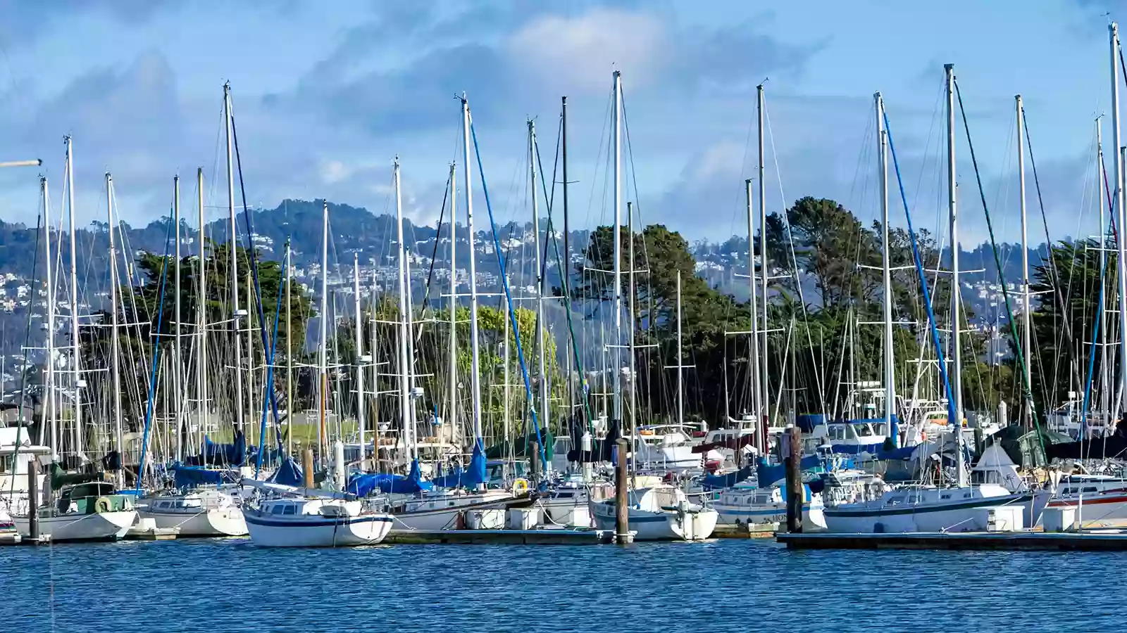 Berkeley Waterfront