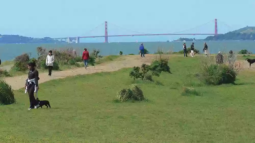 Point Isabel Dog Park