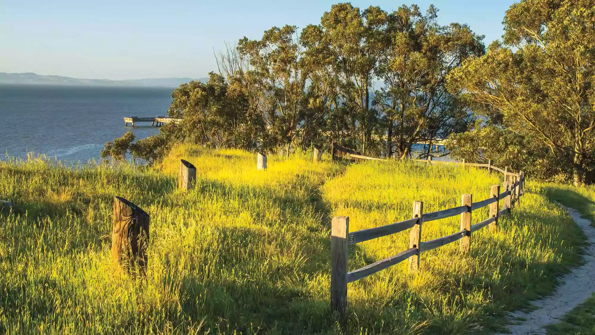 Point Pinole Regional Shoreline