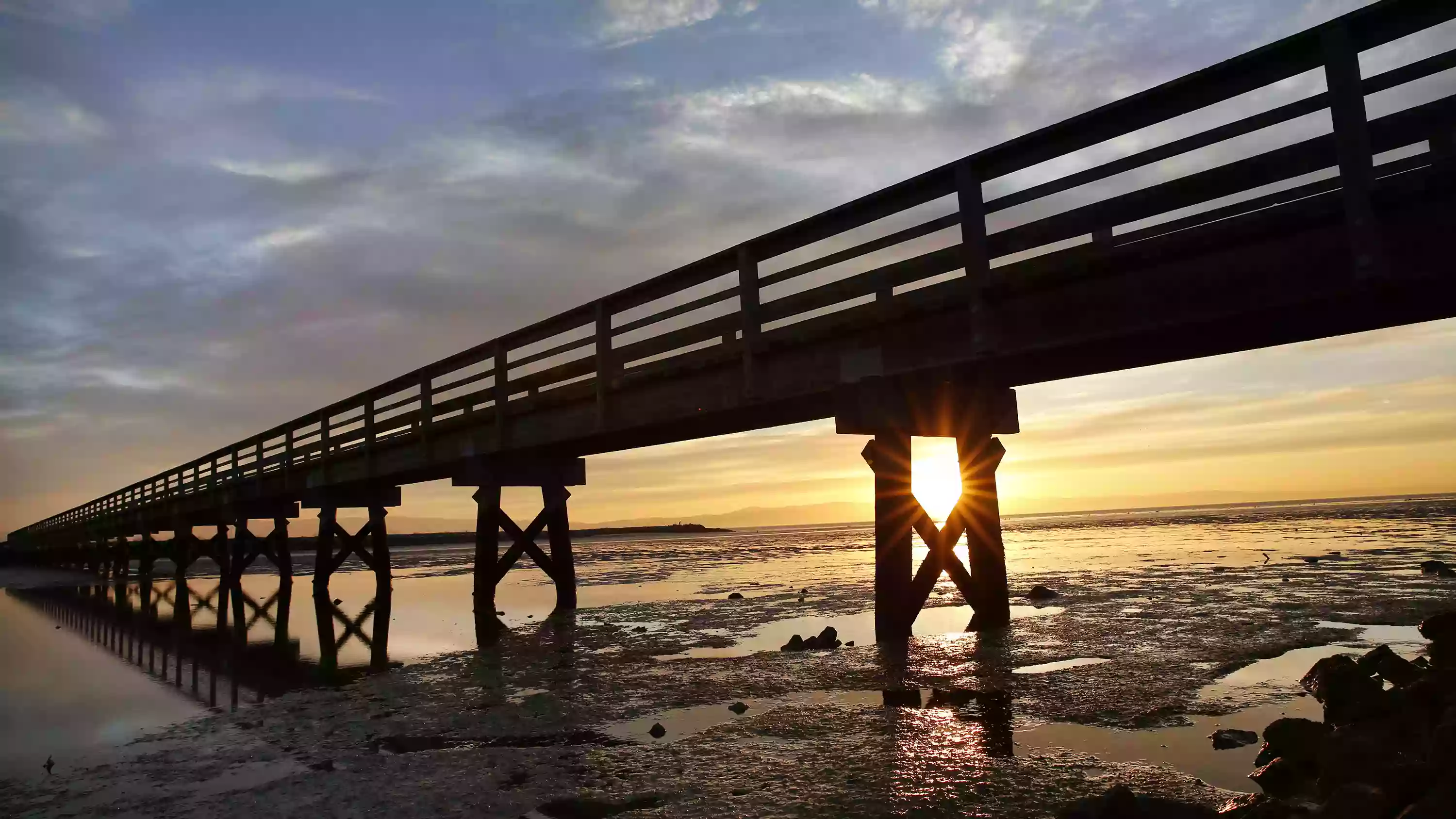 Hayward Regional Shoreline