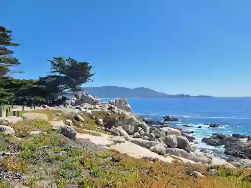 Pescadero Point