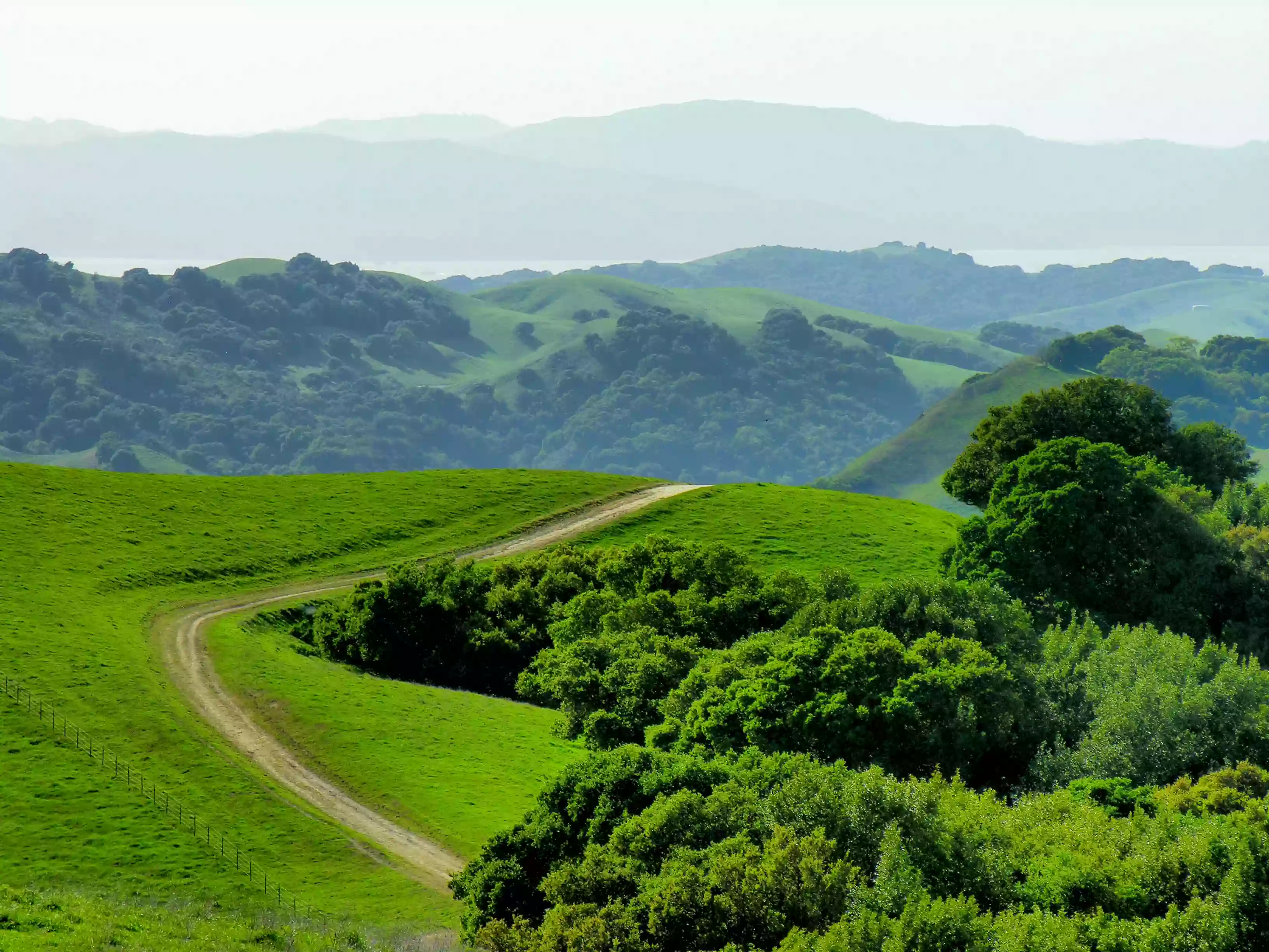 Briones Regional Park