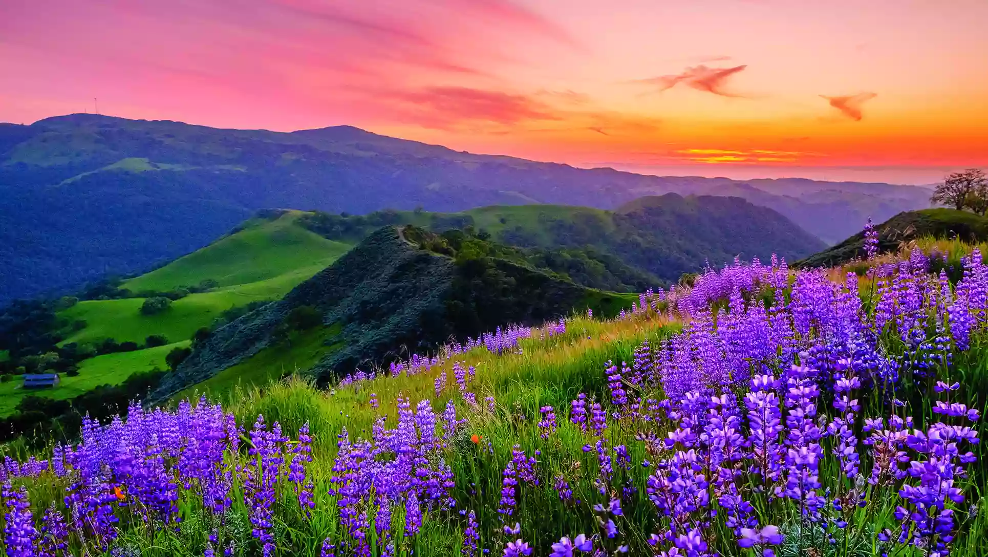 Sunol Regional Wilderness