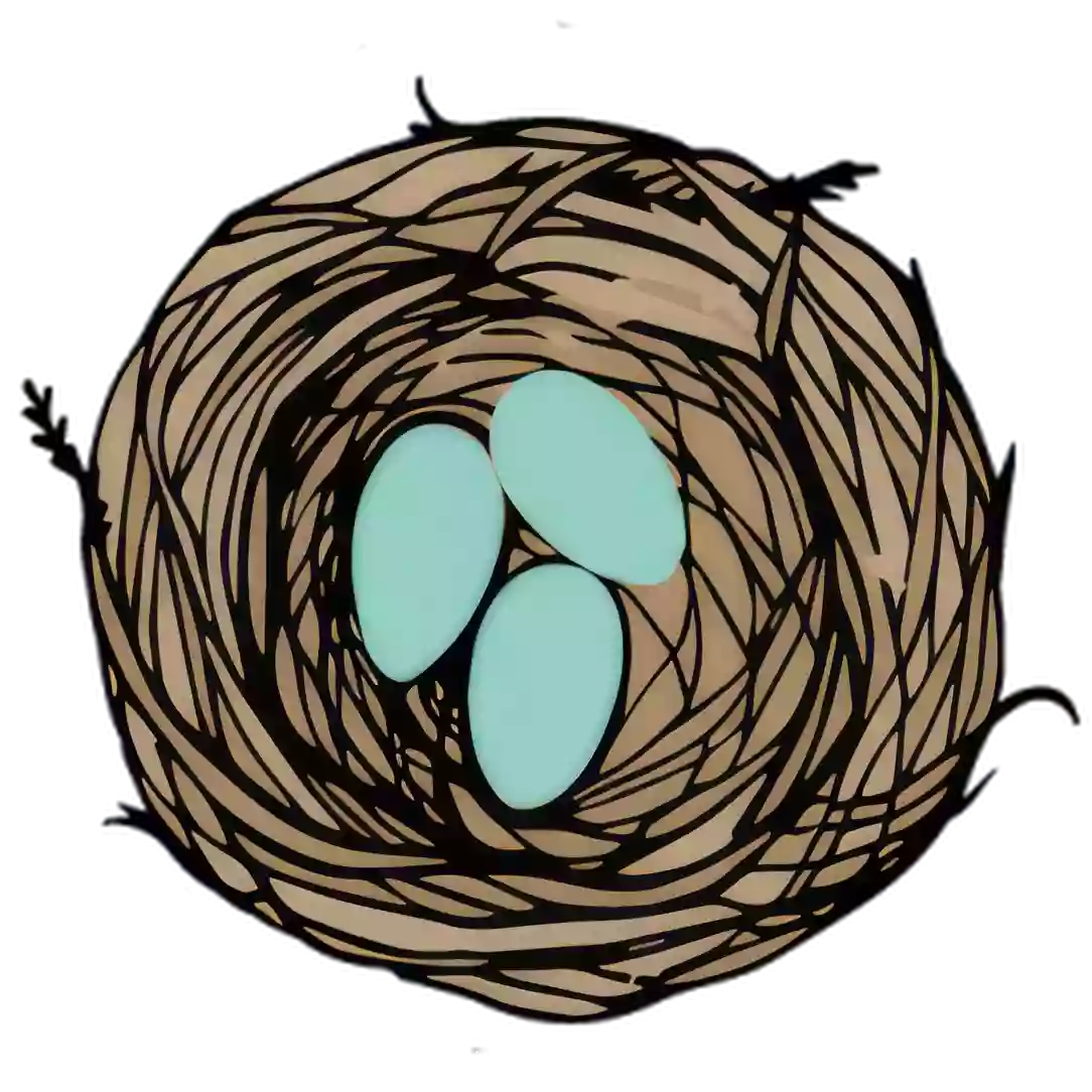 The Robin’s Nest