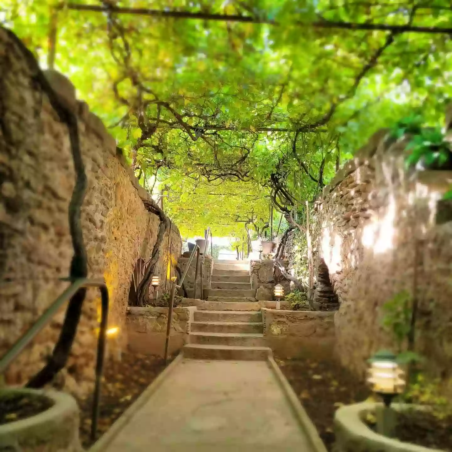 Forestiere Underground Gardens