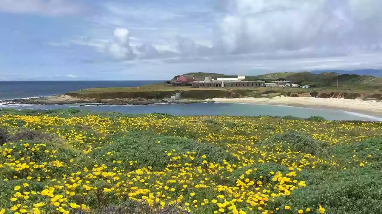 Bodega Marine Reserve