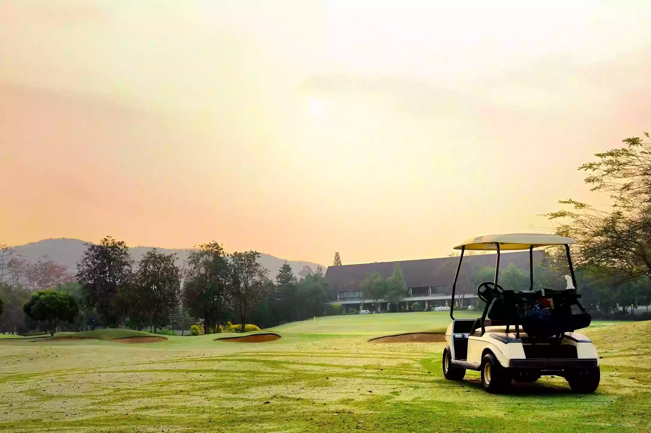 Cowboy Golf Carts