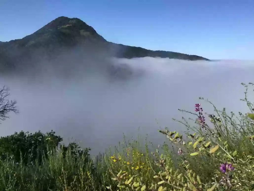 Duveneck Trailhead