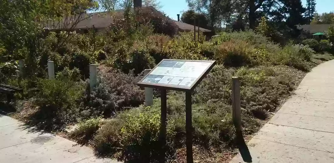 Pocket Park Food Forest