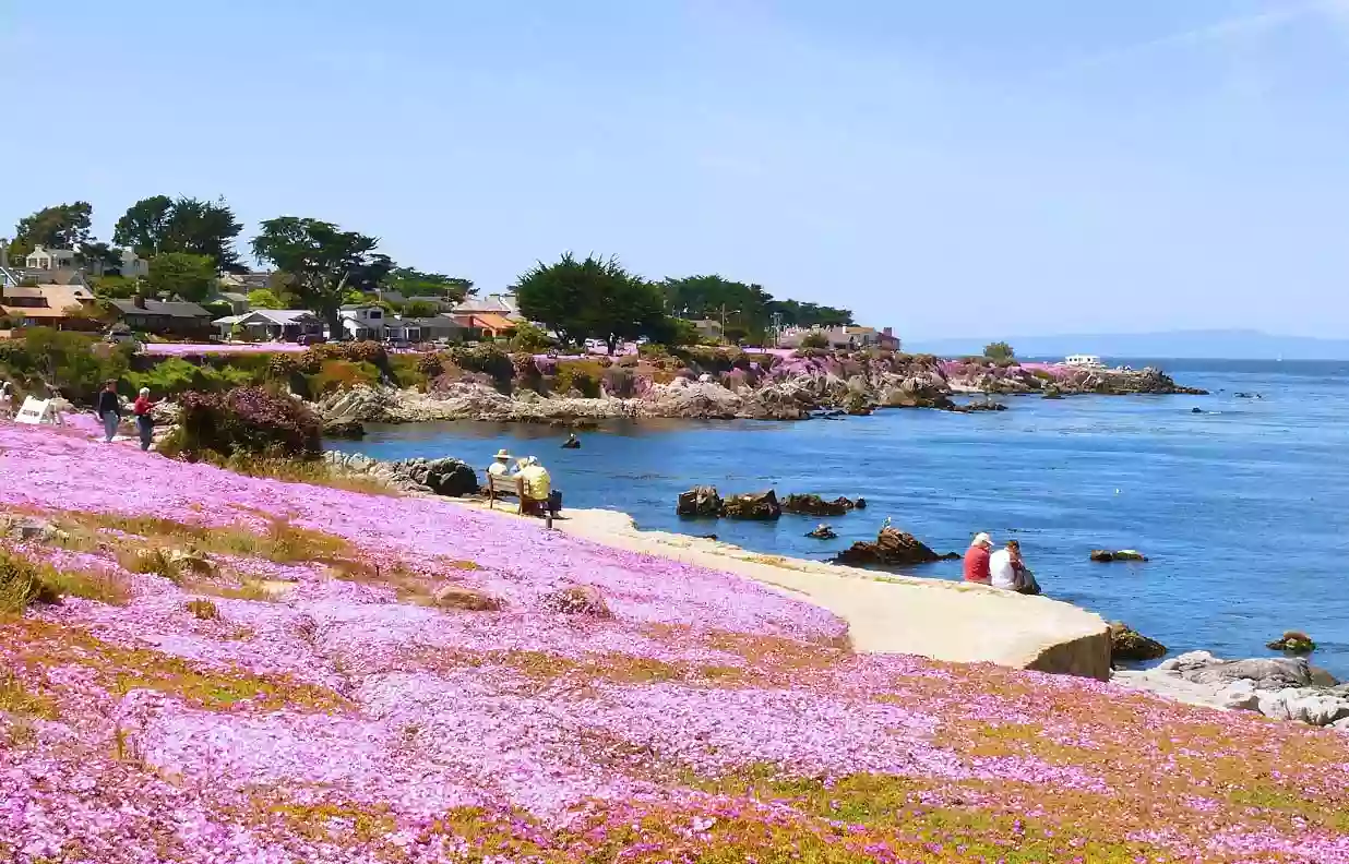 Pacific Grove Community Garden