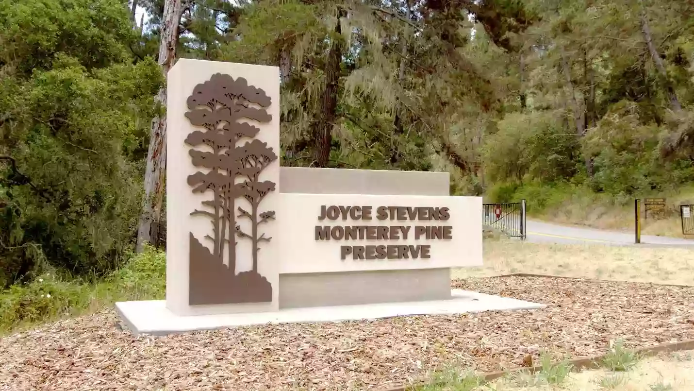 Monterey Pines Preserve