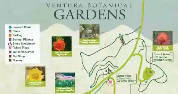 Ventura Botanical Gardens and City Hall Parking