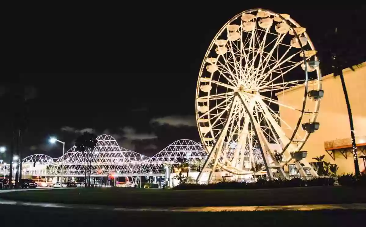 The Pike Ferris Wheel & Carousel