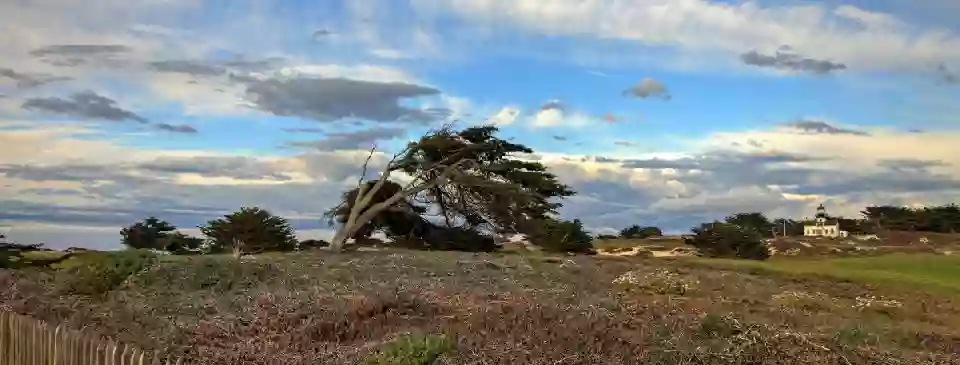 Monterey Peninsula Home Team - Mark Bruno - Pacific Grove