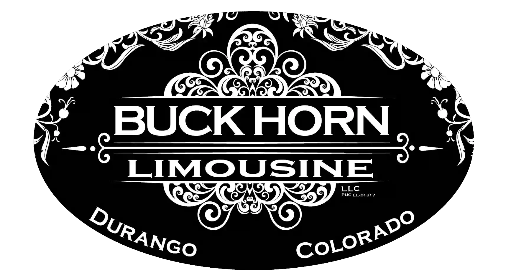 Buck Horn Limousine, LLC
