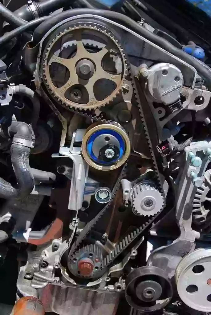 Timing Belt King