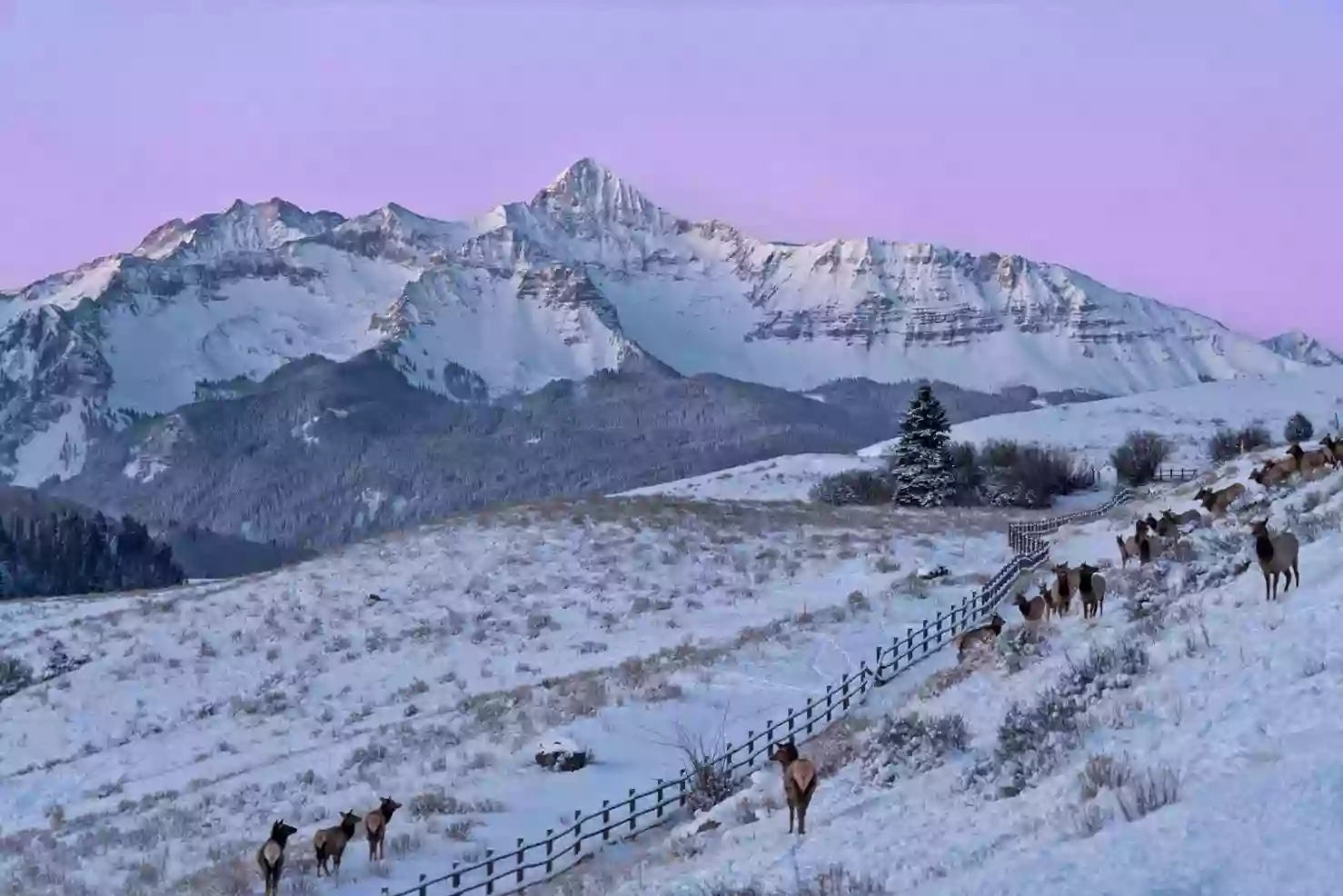 Accommodations in Telluride