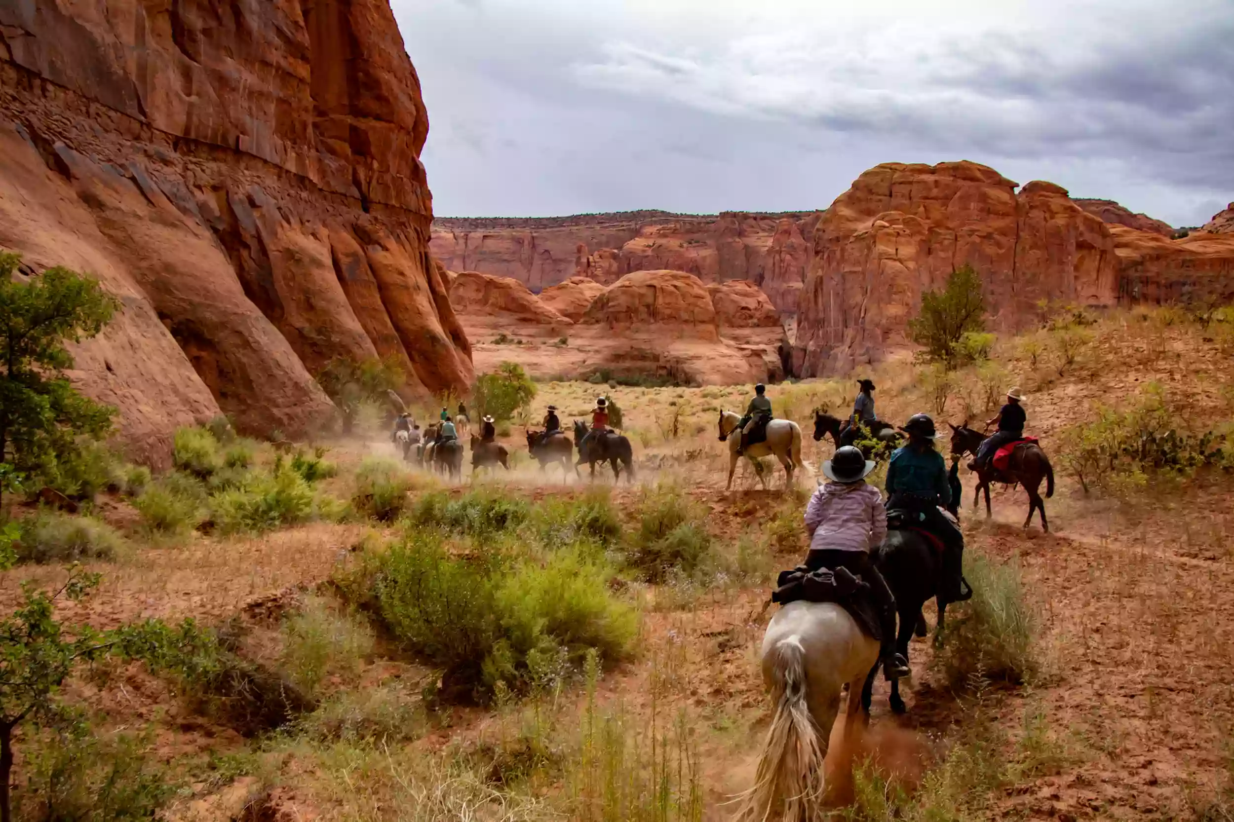 Mild to Wild Backcountry Horse Adventures