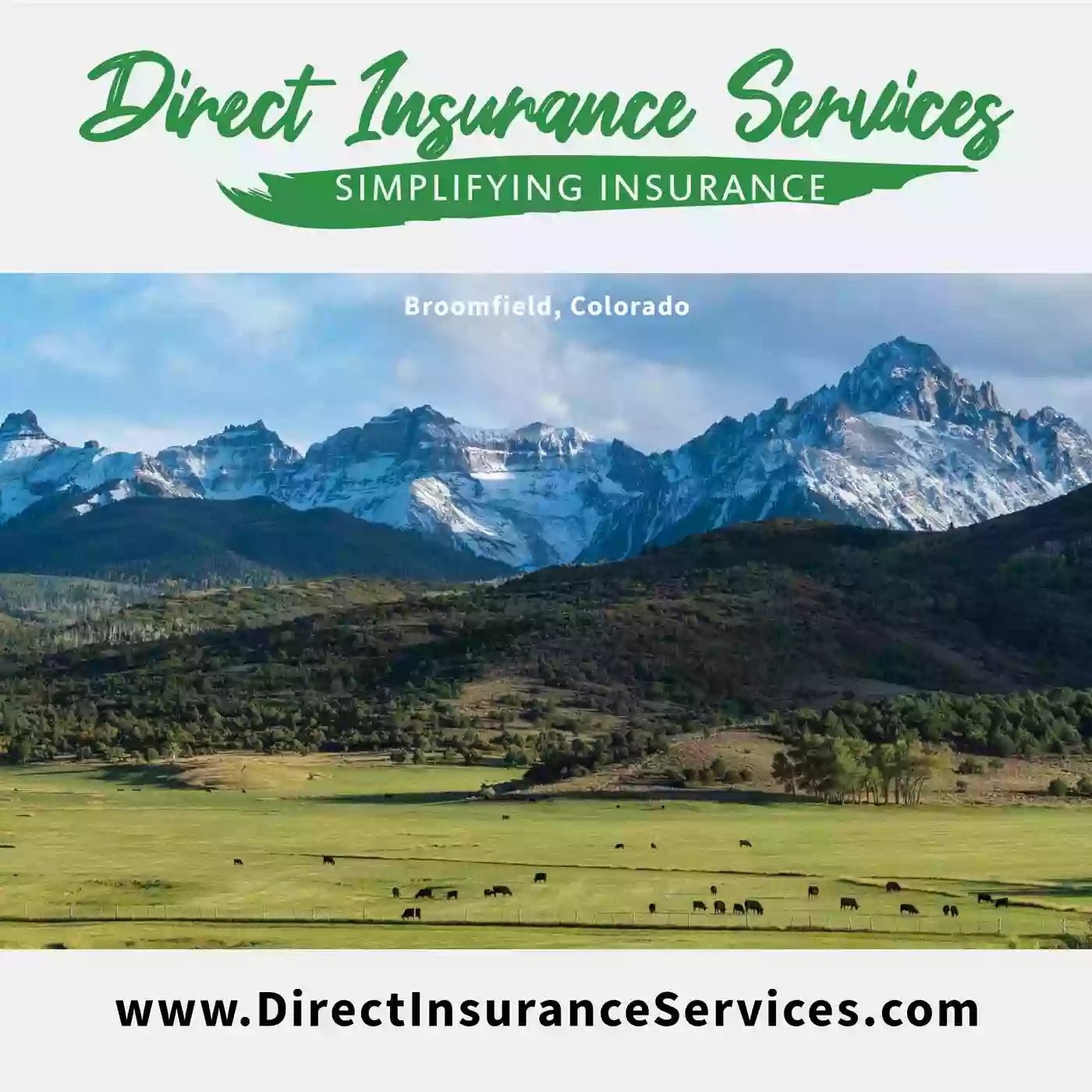 Direct Insurance Services