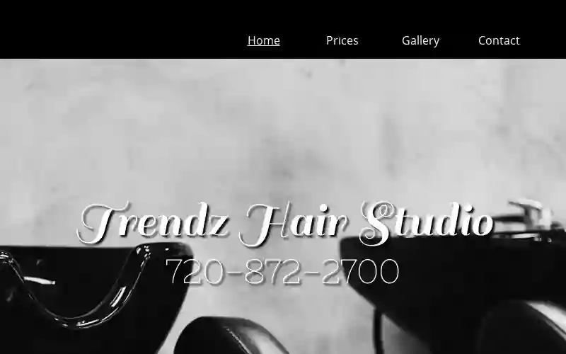 Trendz Hair Studio