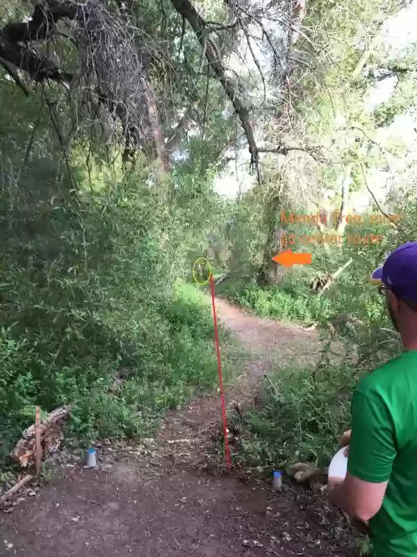 The Aviary Disc Golf Course