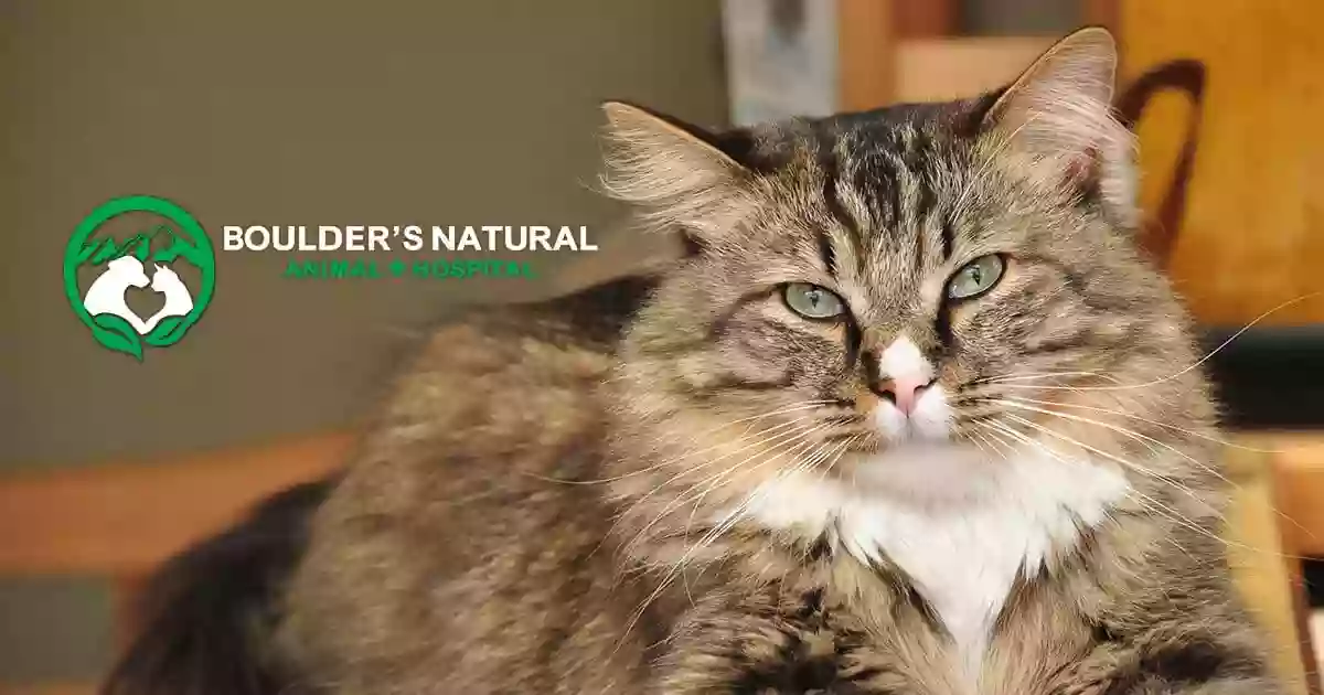 Boulder's Natural Animal Hospital