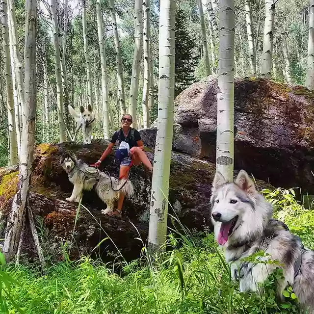 Telluride K9 Adventure School